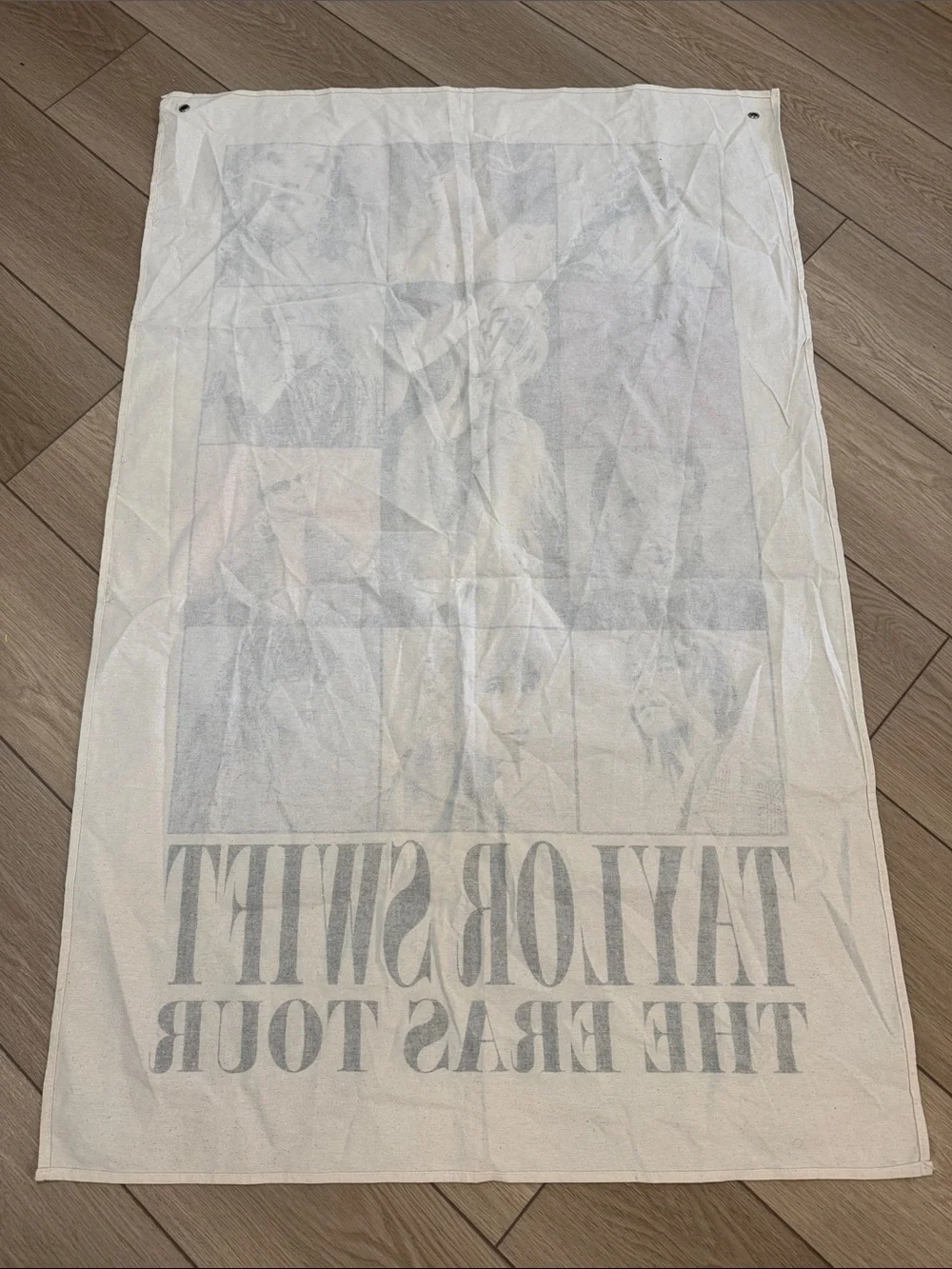 Taylor Swift The Eras Tour Canvas Tapestry Wall Hanging Official Merch 48x31